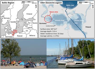 Expert Based Ecosystem Service Assessment in Coastal and Marine Planning and Management: A Baltic Lagoon Case Study